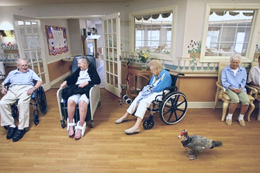 elderly care facility | Distance Learning Systems (DLSI)